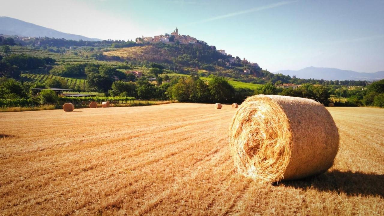 Il Cortiletto Casa Vacanza Trevi Buitenkant foto